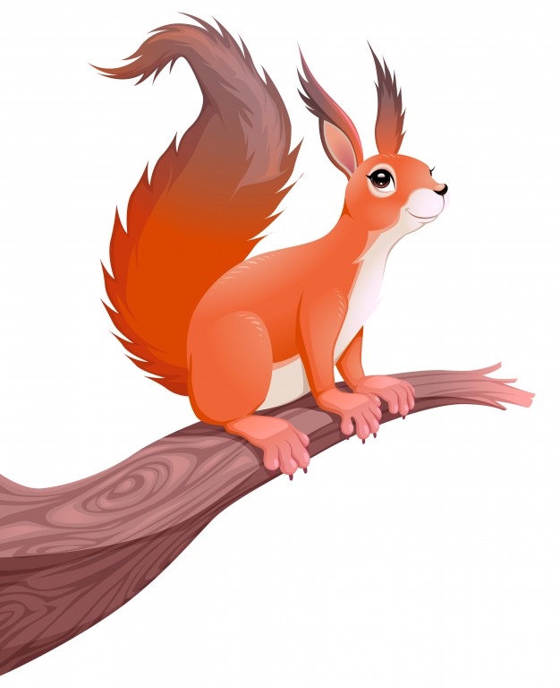 626x768 Squirrel On Branch Vector Free Download