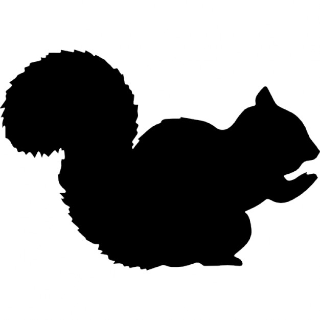 626x626 Squirrel Shape Icons Free Download