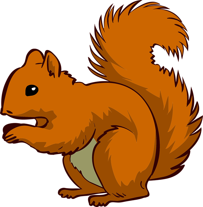 709x720 Eat Squirrel Clipart, Explore Pictures