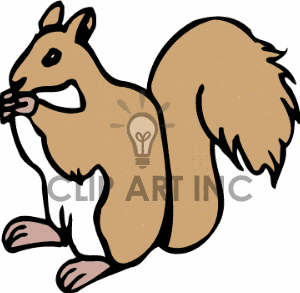300x293 Red Squirrel Clipart Black And White