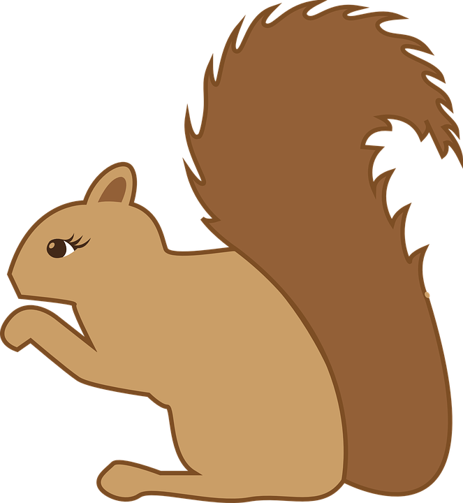 663x720 Squirrel Clipart Hibernation
