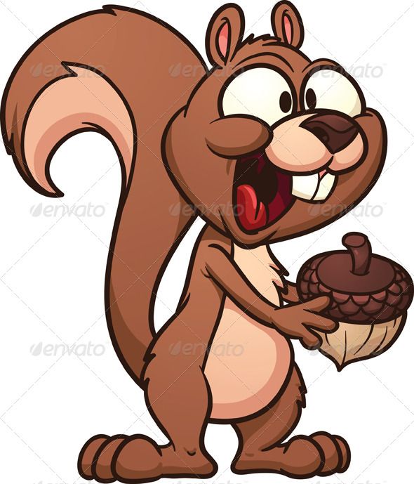 590x689 Acorn Clipart Brown Squirrel
