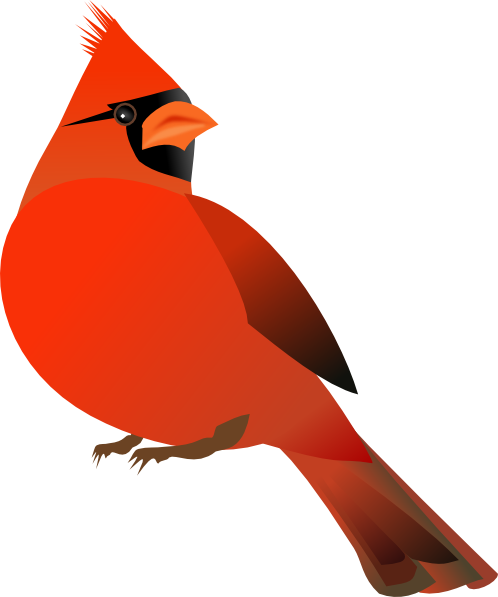 498x597 Free Clipart Cardinal
