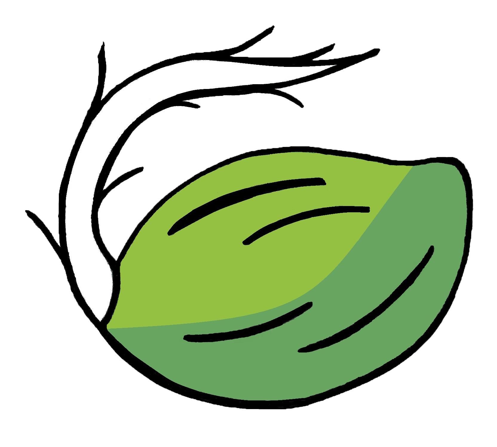 1664x1497 Cannabis Plant In The Vegetative Stage Part Three Lighting