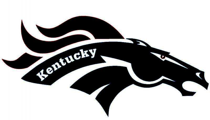 800x456 Stallion Black Free Images