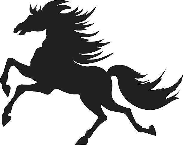 612x485 Stallion Clipart Vector