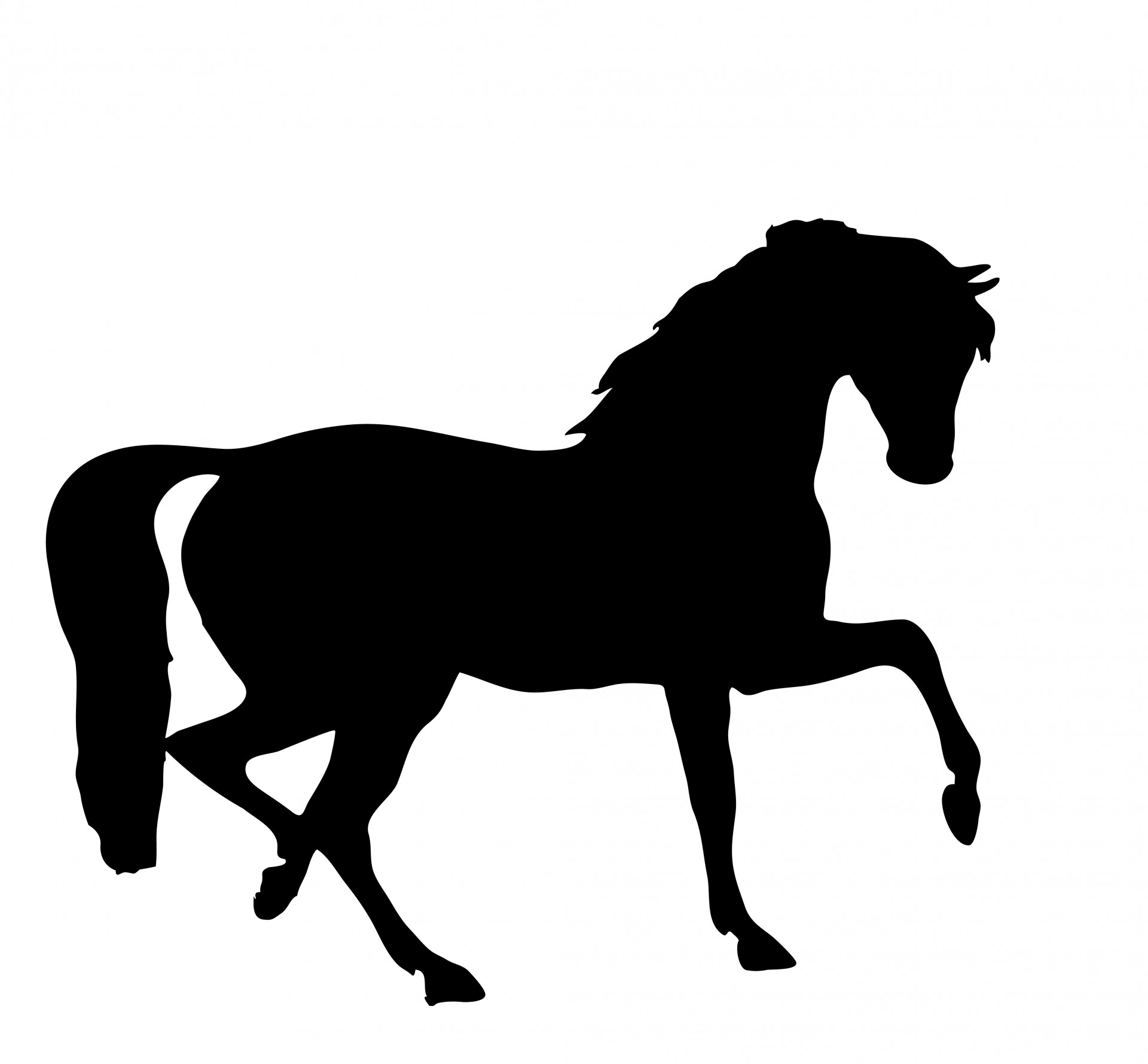 1920x1778 Stallion Clipart Horse Silhouette
