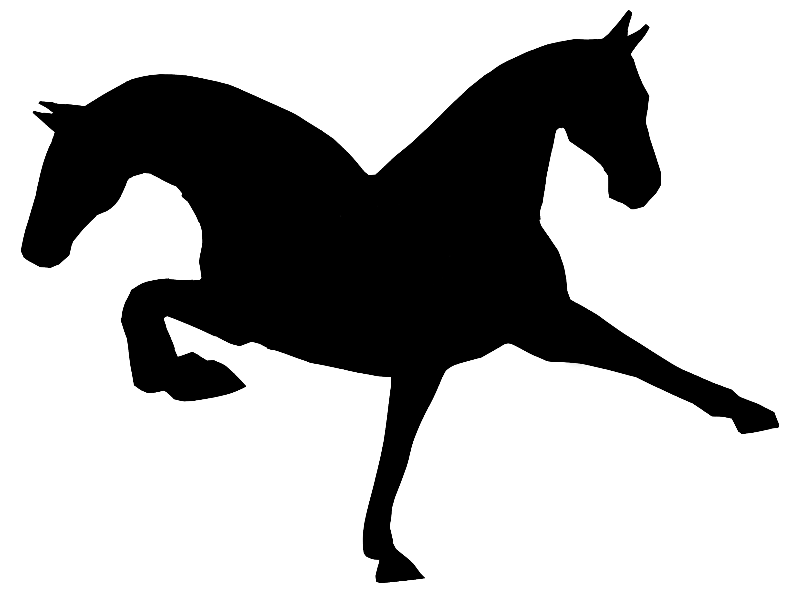 3248x2445 Wine Country Sport Ponies