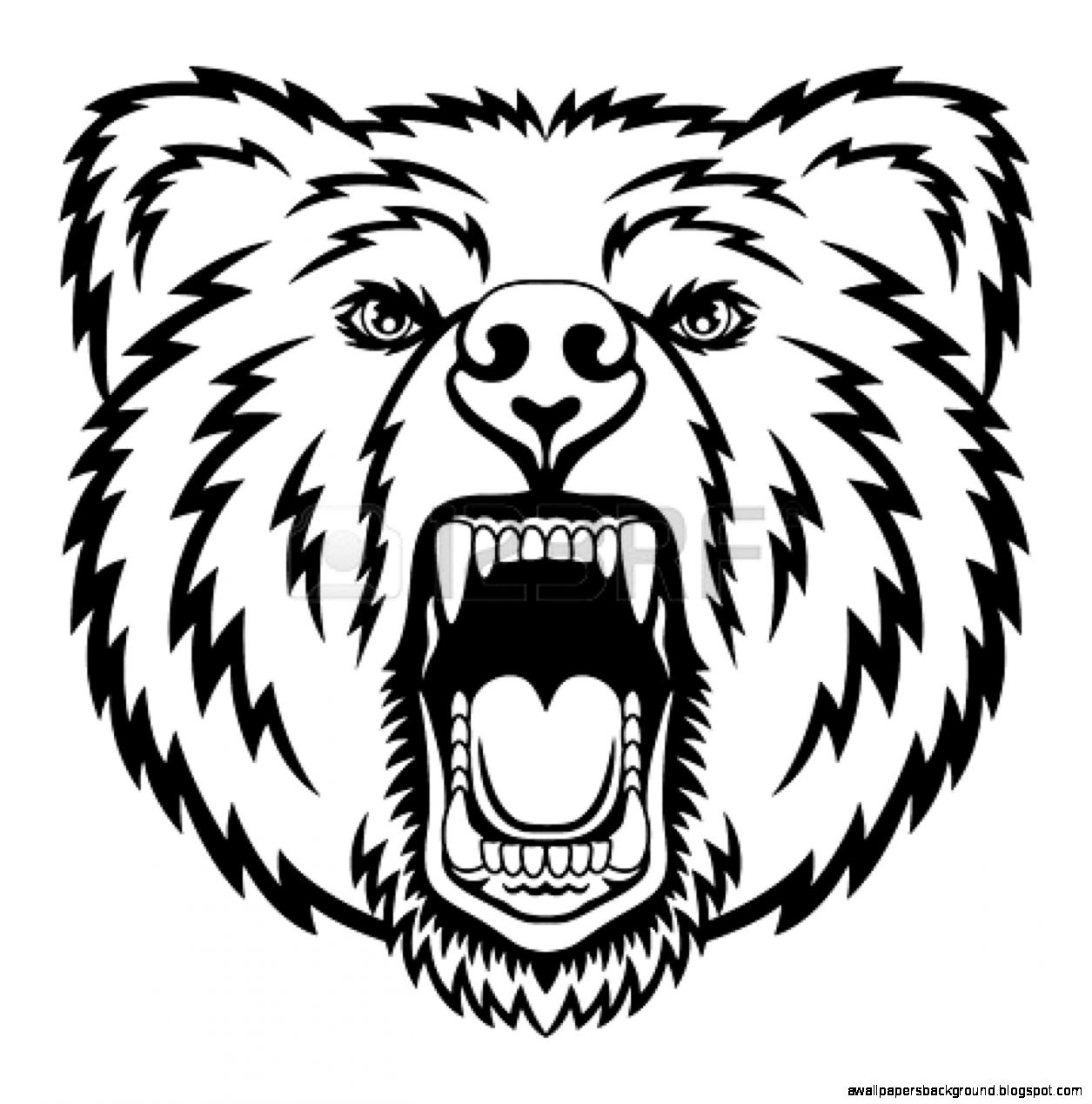 1255x1269 Bear Drawings Clip Art
