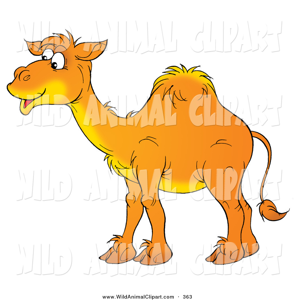 1024x1044 Clip Art Of A Happy Orange Arabian Camel With One Hump, Smiling
