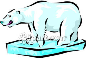 300x204 Polar Bear On Ice Clip Art Cliparts
