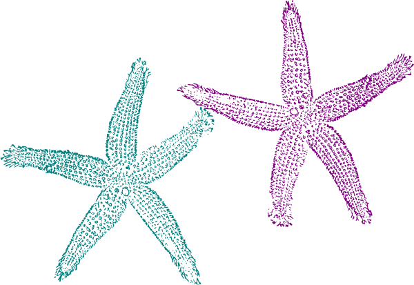 600x413 Starfish Teal And Purple Clip Art