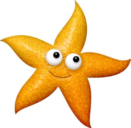 543x533 Starfish Clipart Golden