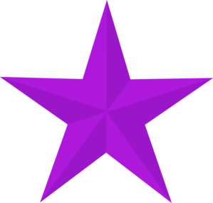 299x285 Purple Star Clip Art