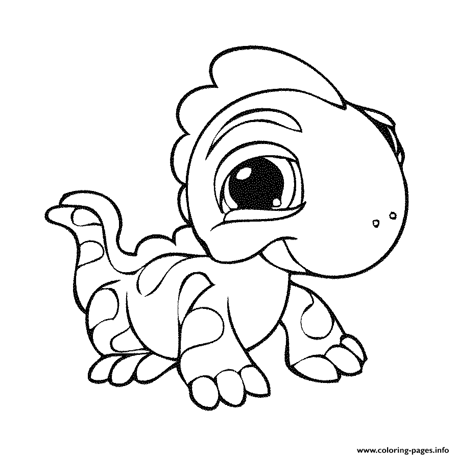 895x895 Littlest Pet Shop 7 Coloring Pages Printable