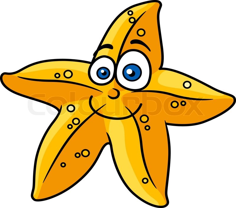 800x708 Close Up Cartooned Yellow Star Fish With Smiling Face For Sealife