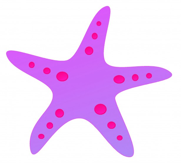 615x553 Purple Starfish Clip Art