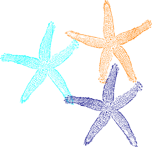 600x580 Starfish Clip Art