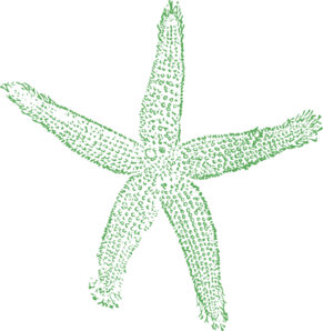 291x298 Starfish Sage