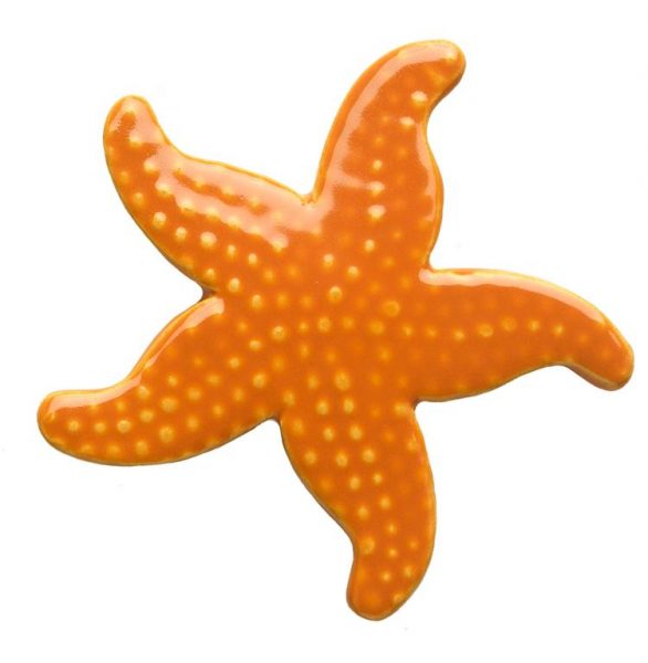 586x600 Starfish Clipart 5 Nice Clip Art
