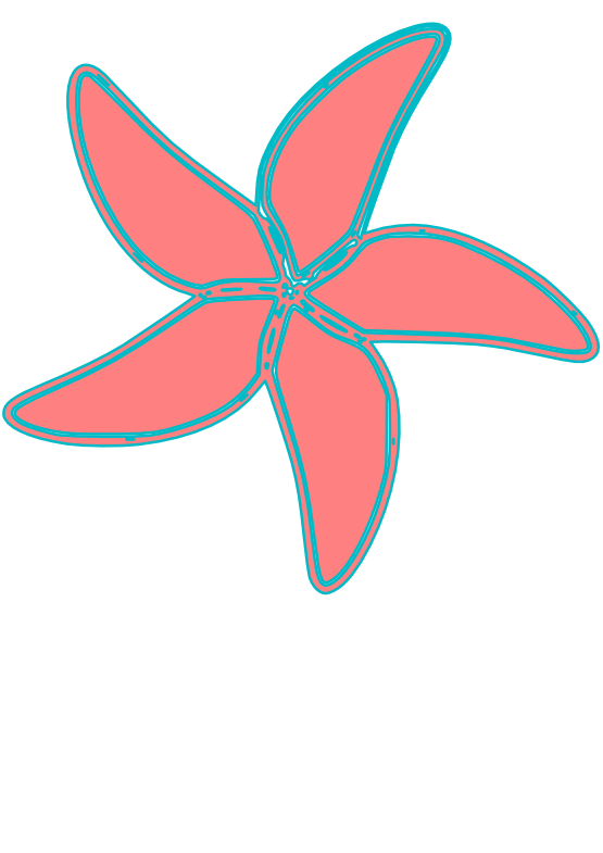 555x785 Clip Art Starfish Svg