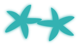 300x177 Starfish Png Clip Art, Starf Sh Clip Art