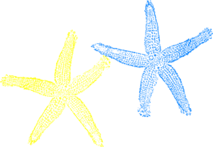 300x207 Blue And Yellow Starfish Clip Art