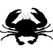 225x225 The Best Crab Clipart Ideas Starfish Clipart