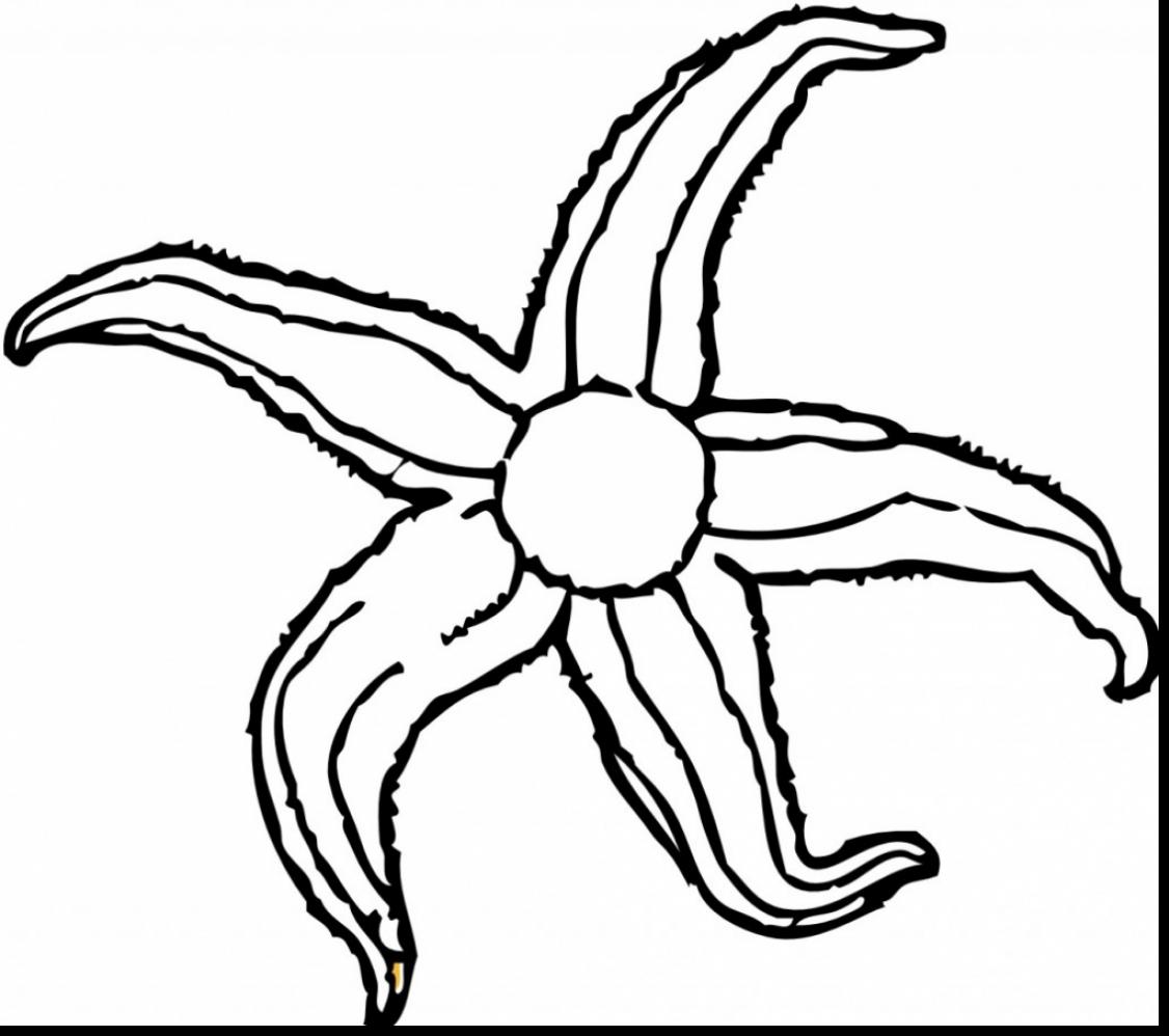 1126x998 Extraordinary Black And White Starfish Clip Art With Starfish