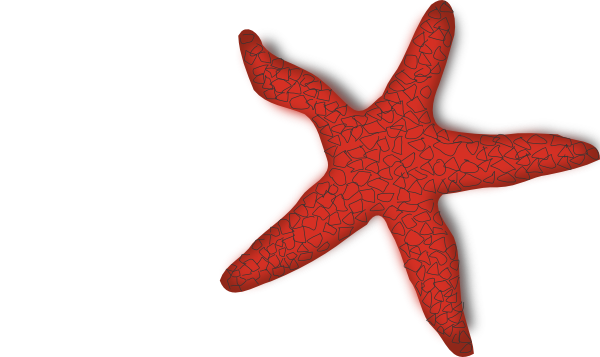 Starfish Clipart Free