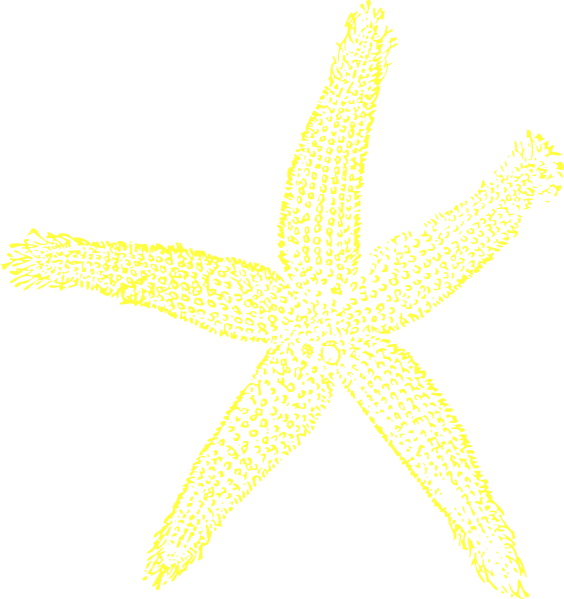 564x599 Maehr Yellow Starfish Clip Art