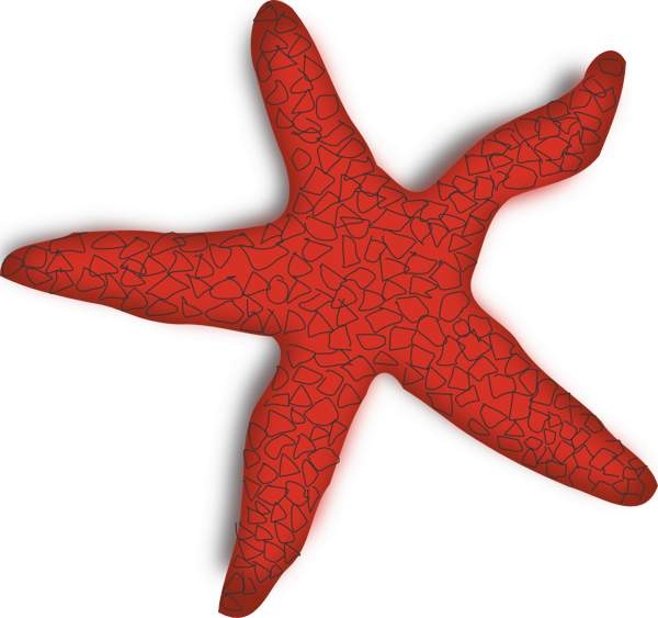 600x563 Red Starfish Clipart