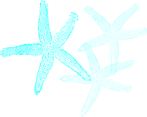 298x237 Starfish Prints Clip Art