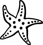 143x150 Starfish Sticker