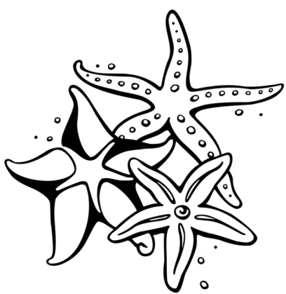 408x419 These Stunning Starfish Tattoos Are Sure To Dazzle You Starfish