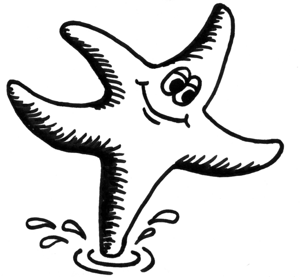 990x900 Drawing Of A Starfish Star Fish