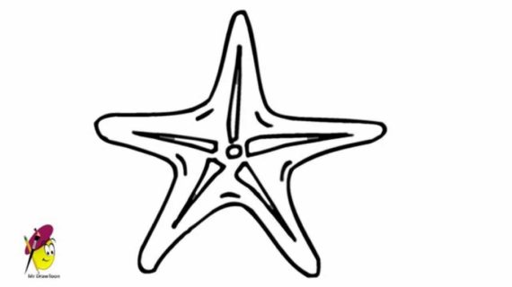 570x320 Easy Fish To Draw Star Fish How To Draw A Fish Starfish Easy