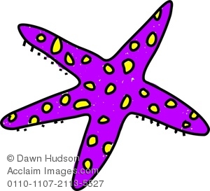 300x273 Image Of A Whimsical Drawing Of A Starfish