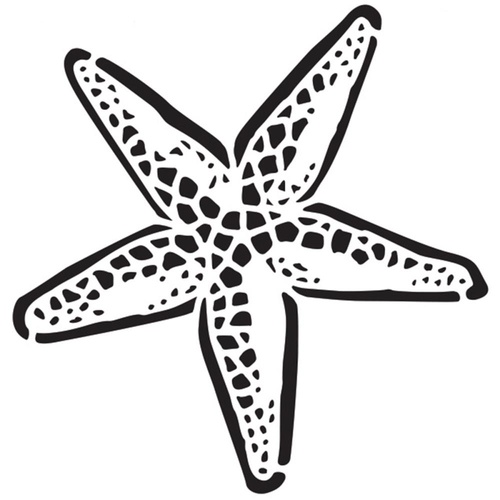 500x500 Starfish Stencil