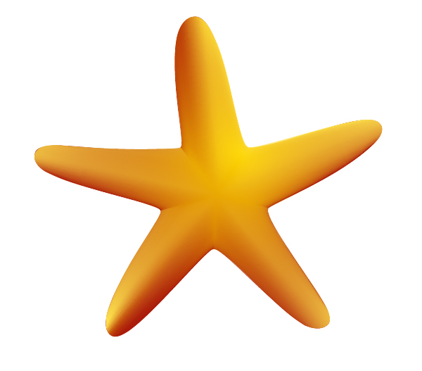 600x527 How To Create A Starfish In Adobe Illustrator