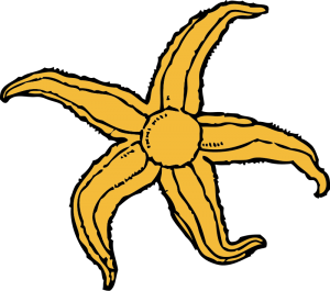 300x265 Starfish Clip Art Download