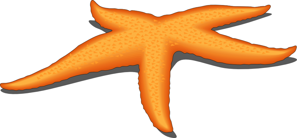 999x463 Starfish Line Cliparts 262902