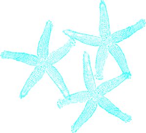 299x273 The Best Starfish Clipart Ideas Seahorse Image