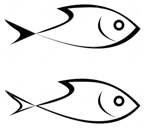 618x545 Coloring Pages Remarkable Fish Outline. Fish Outline Coloring