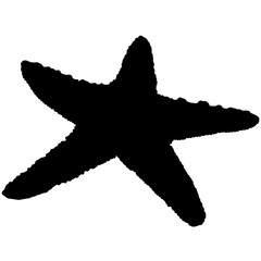240x240 Search Photos Starfish