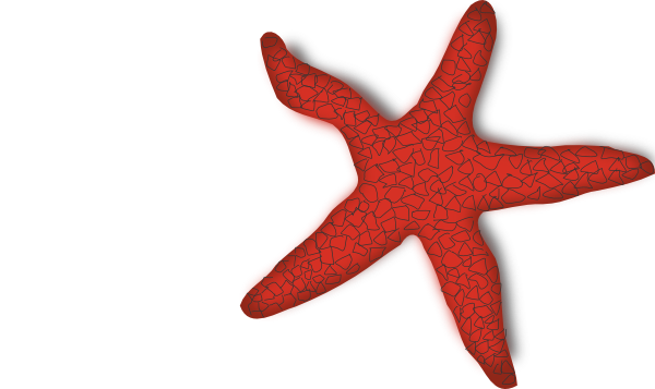 600x357 Starfish Silhouette Clip Art
