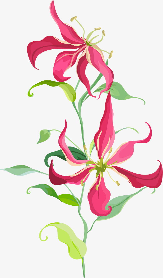 650x1110 Cartoon Hand Painted Flowers Png Images Vectors And Psd Files