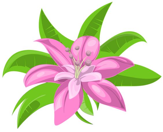 564x459 Clipart Png Images Exotic Flowers 11 Png Flower Clusters On