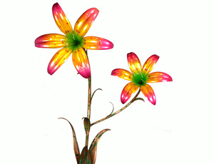 300x230 Double Lily Clipart