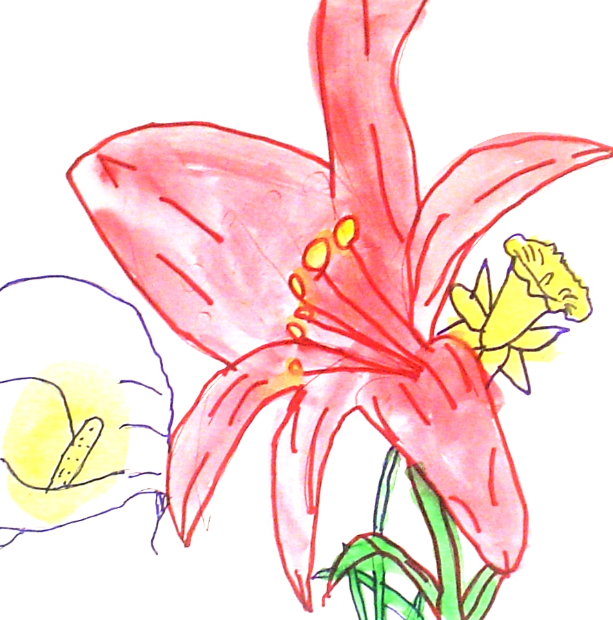 888x898 Flower Paintings In The Style Of Georgia O'Keeffe Lessons